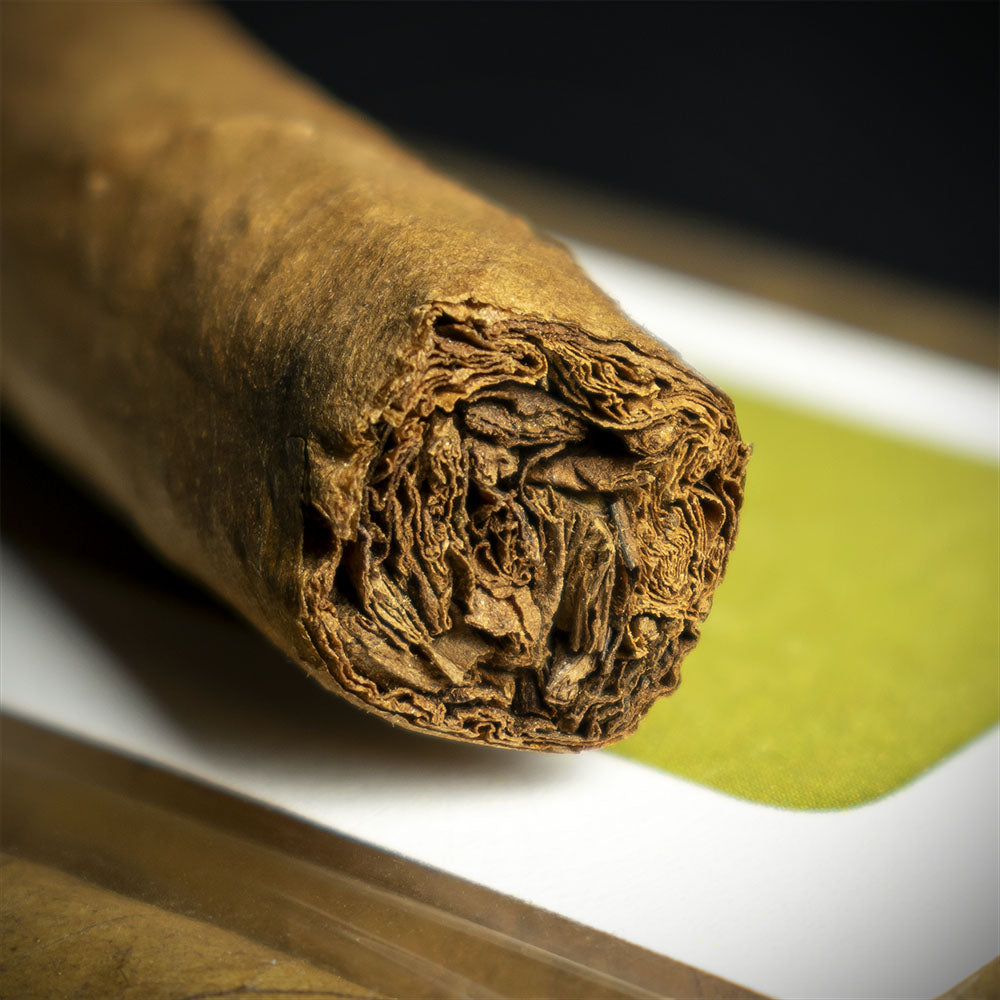 La Invicta Honduran Panatela Hand-Rolled Long-Filler Cigar Single - Image 6
